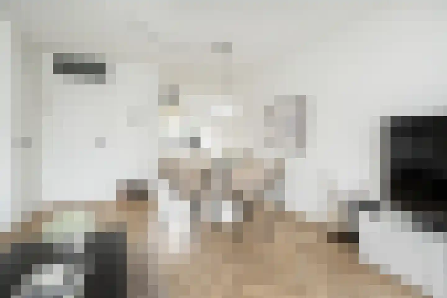Nieuwstraat 16 a Oude-Tonge thumbnail 10