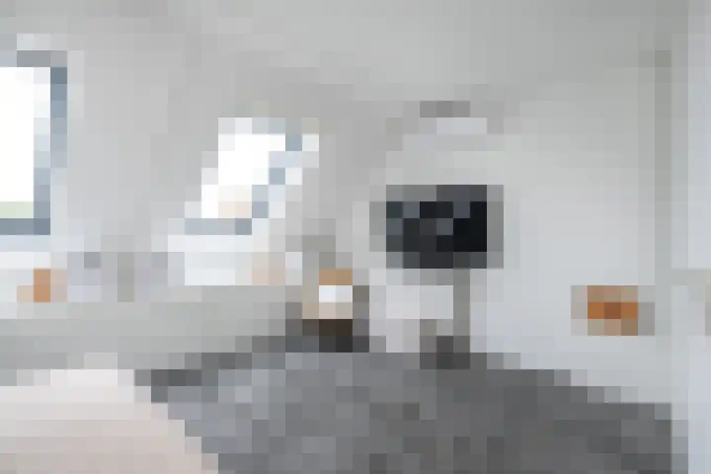 Nieuwstraat 16 a Oude-Tonge thumbnail 17