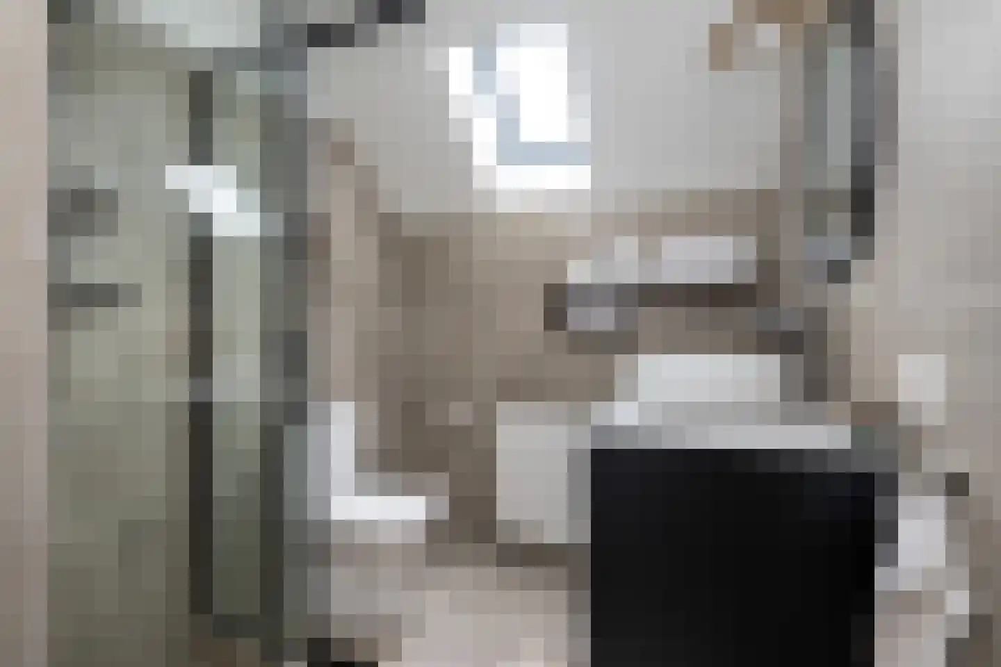 Nieuwstraat 16 a Oude-Tonge thumbnail 19