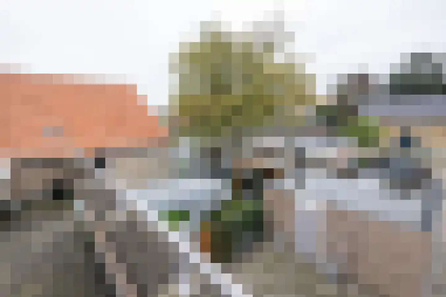Nieuwstraat 16 a Oude-Tonge thumbnail 23