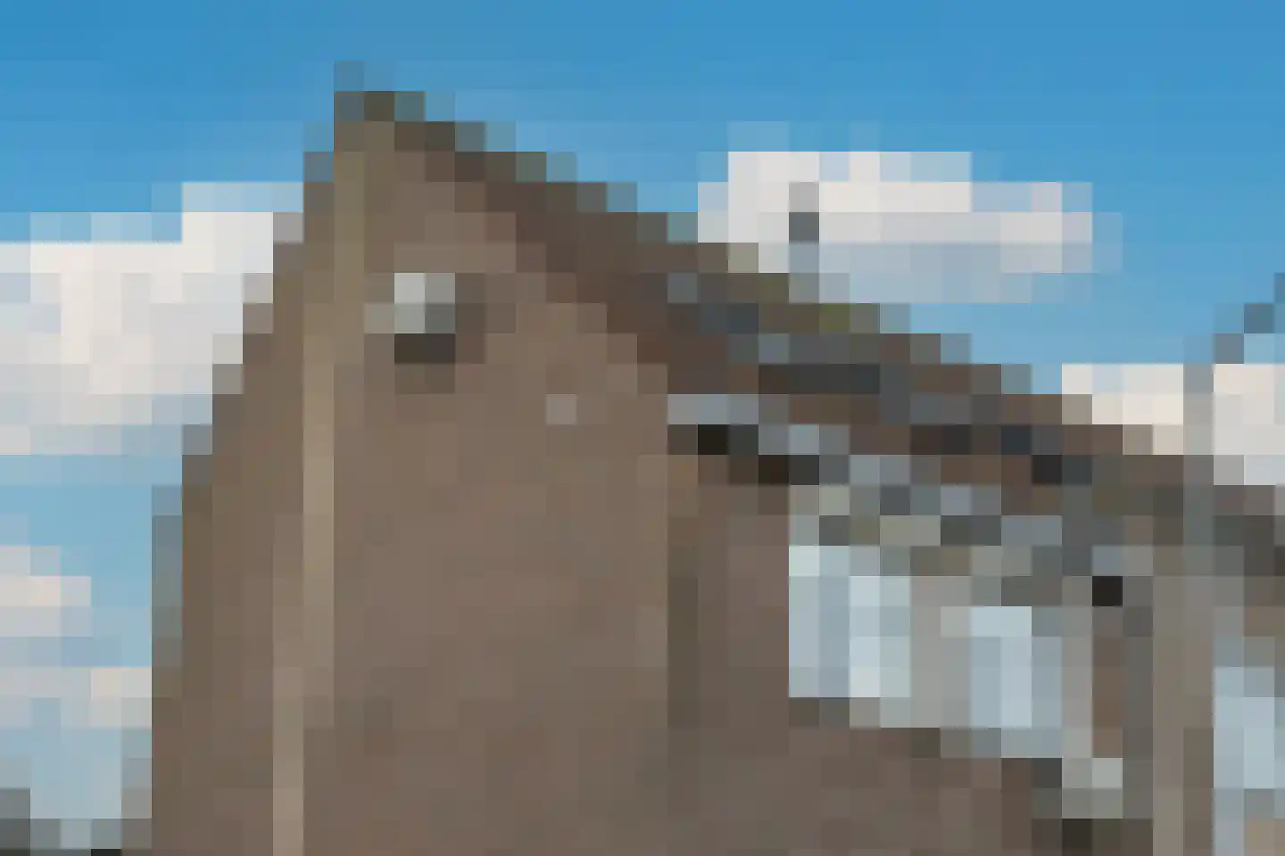 Nieuwstraat 16 a Oude-Tonge thumbnail 24