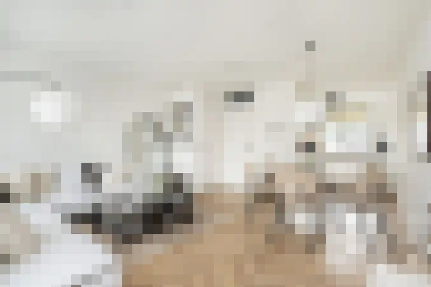 Nieuwstraat 16 a Oude-Tonge thumbnail 4