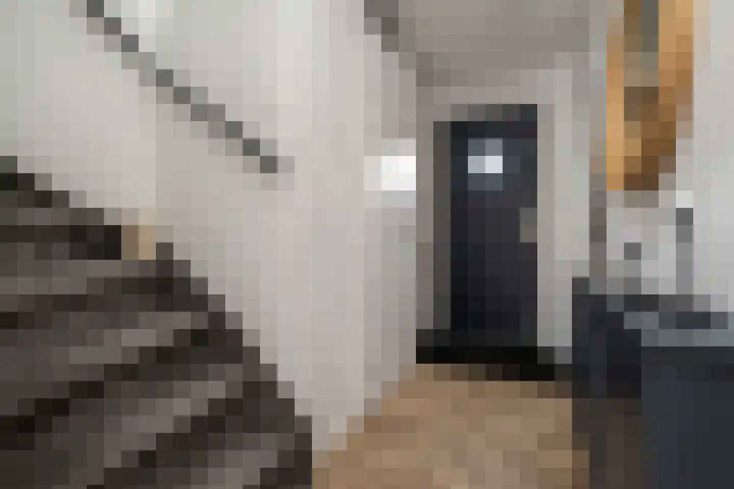 Nieuwstraat 16 a Oude-Tonge thumbnail 5