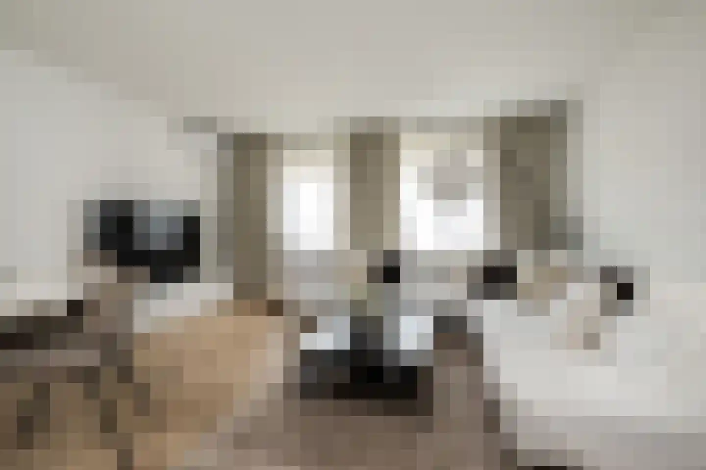 Nieuwstraat 16 a Oude-Tonge thumbnail 7