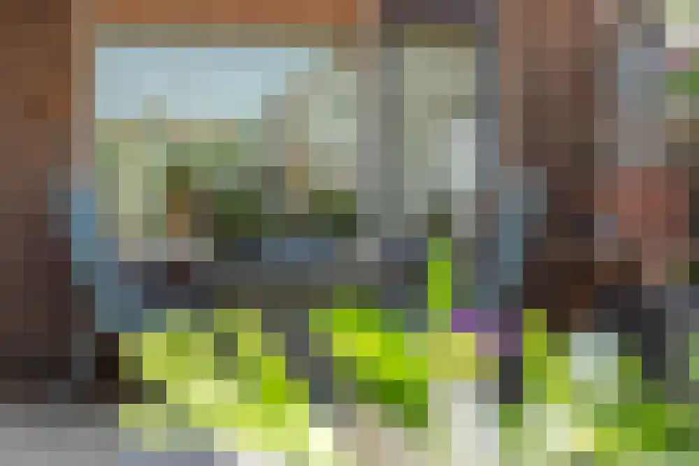 Nieuwstraat 16 De Blesse thumbnail 29
