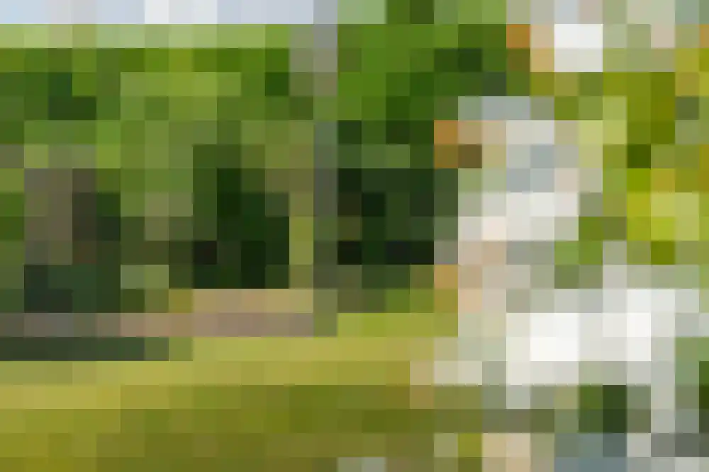 Nieuwstraat 16 De Blesse thumbnail 34