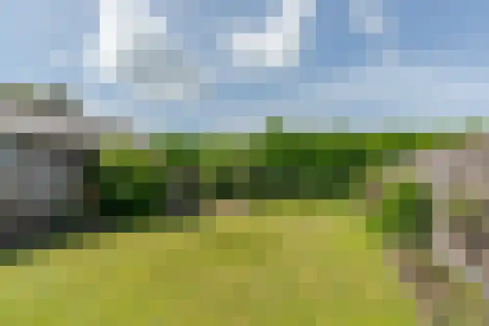 Nieuwstraat 16 De Blesse thumbnail 35
