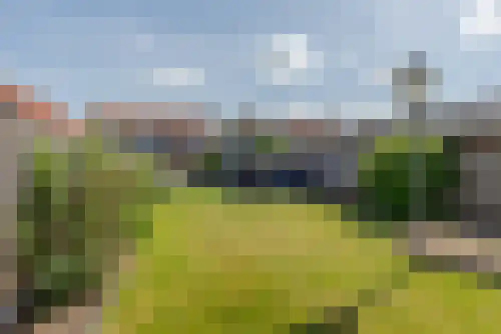Nieuwstraat 16 De Blesse thumbnail 36