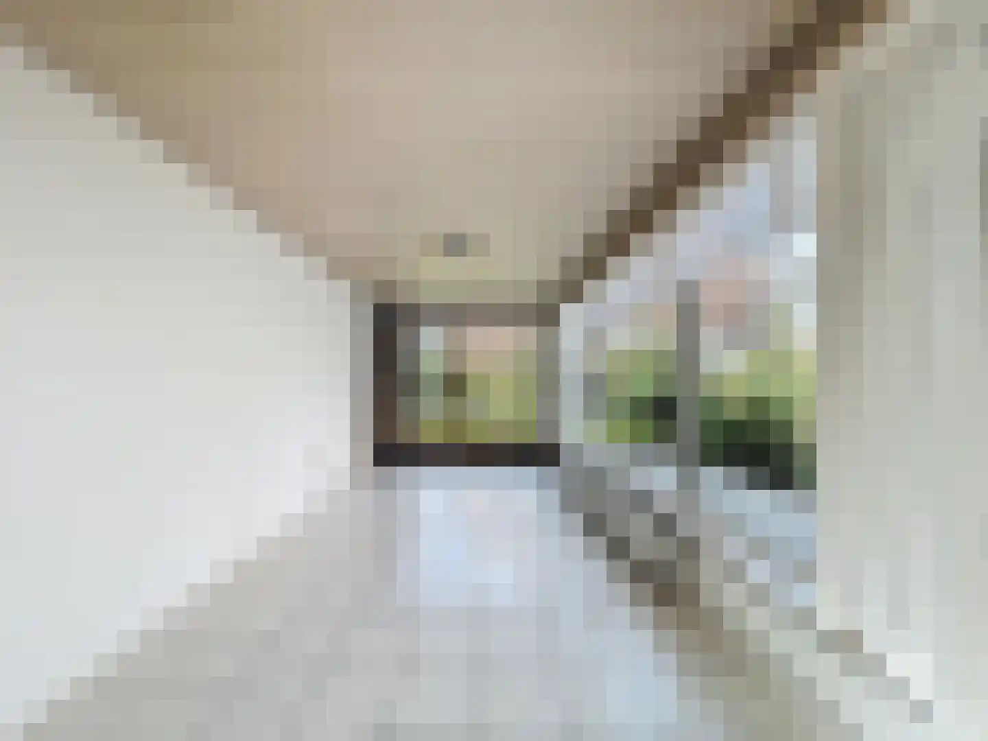 Nieuwstraat 16 Groede thumbnail 14