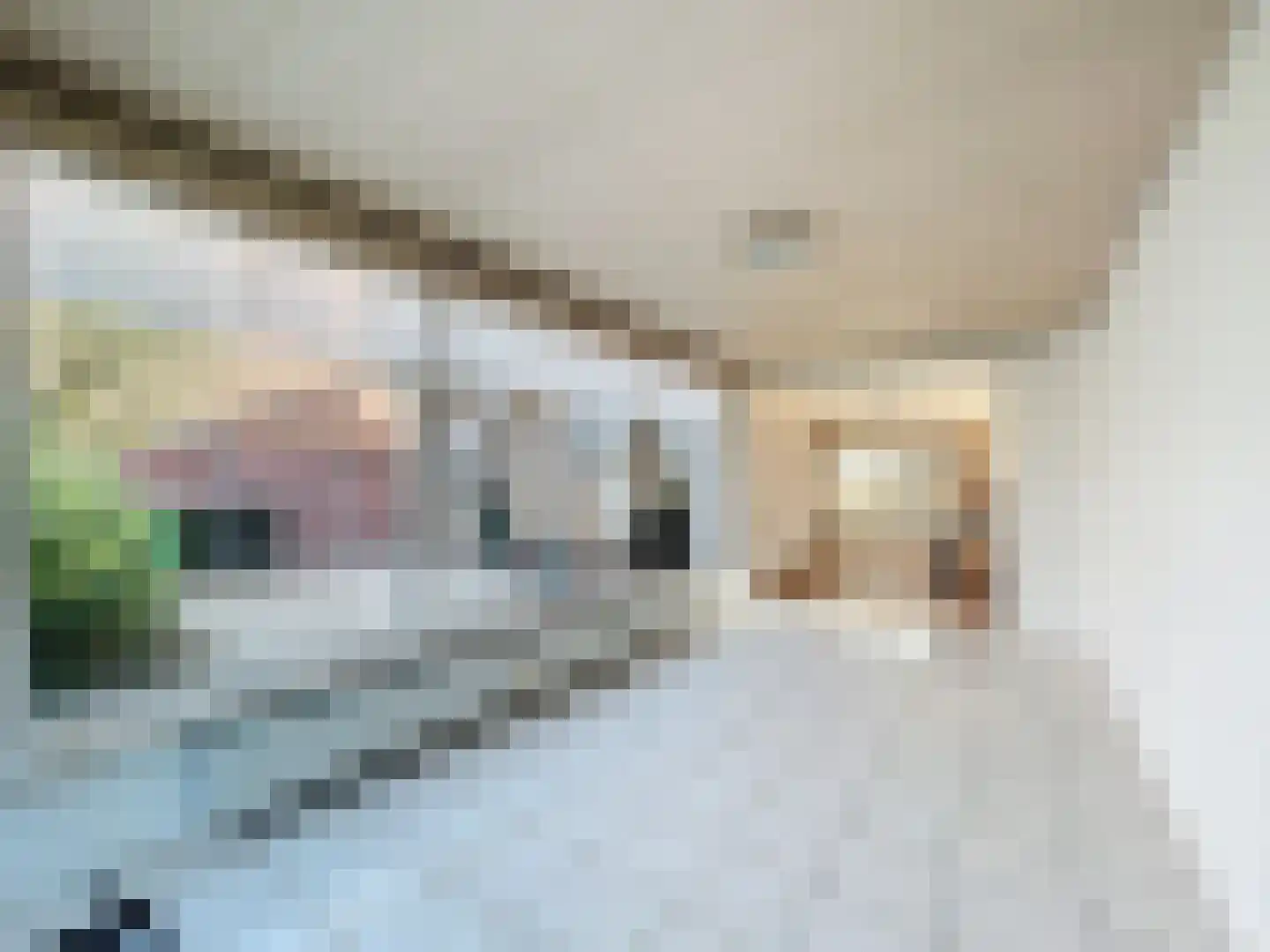 Nieuwstraat 16 Groede thumbnail 15
