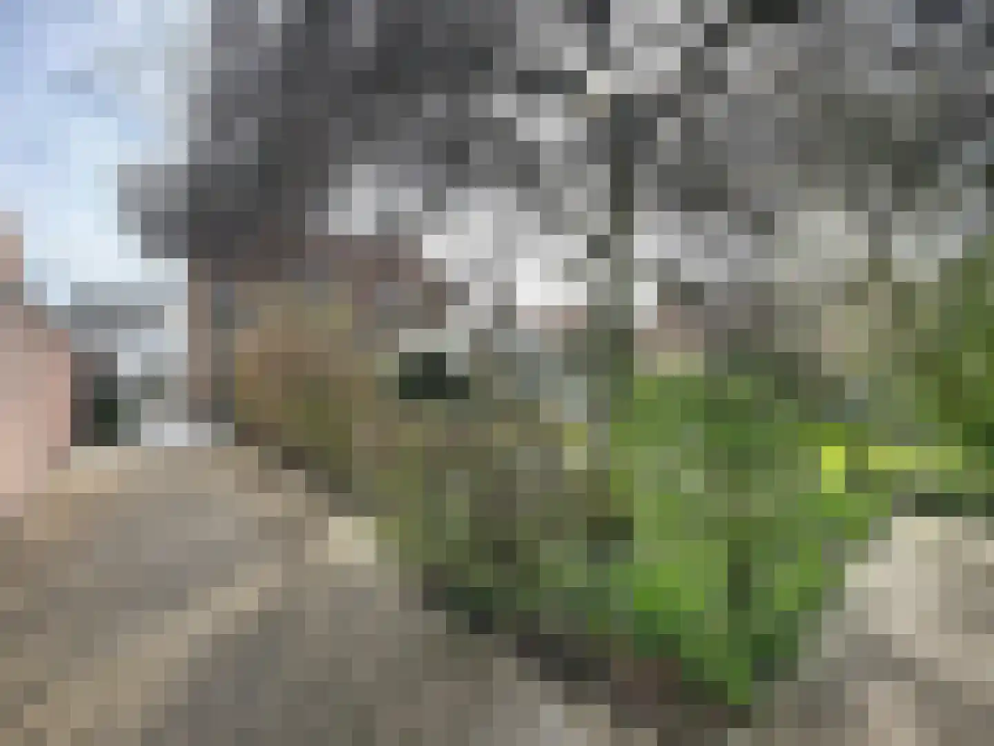Nieuwstraat 16 Groede thumbnail 27