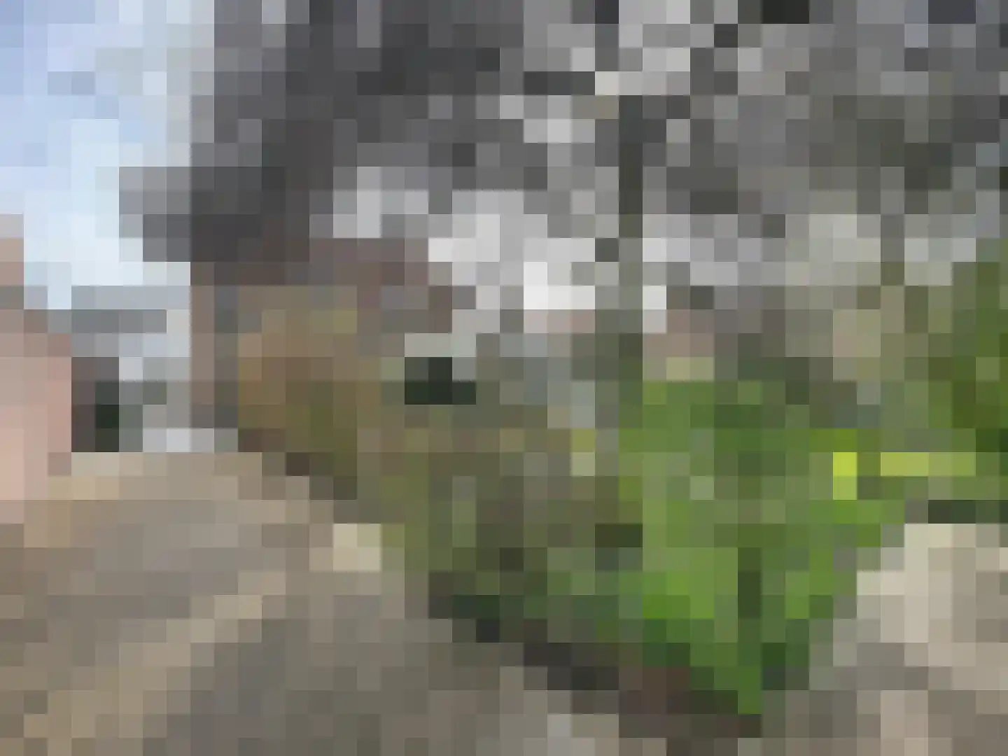 Nieuwstraat 16 Groede thumbnail 27
