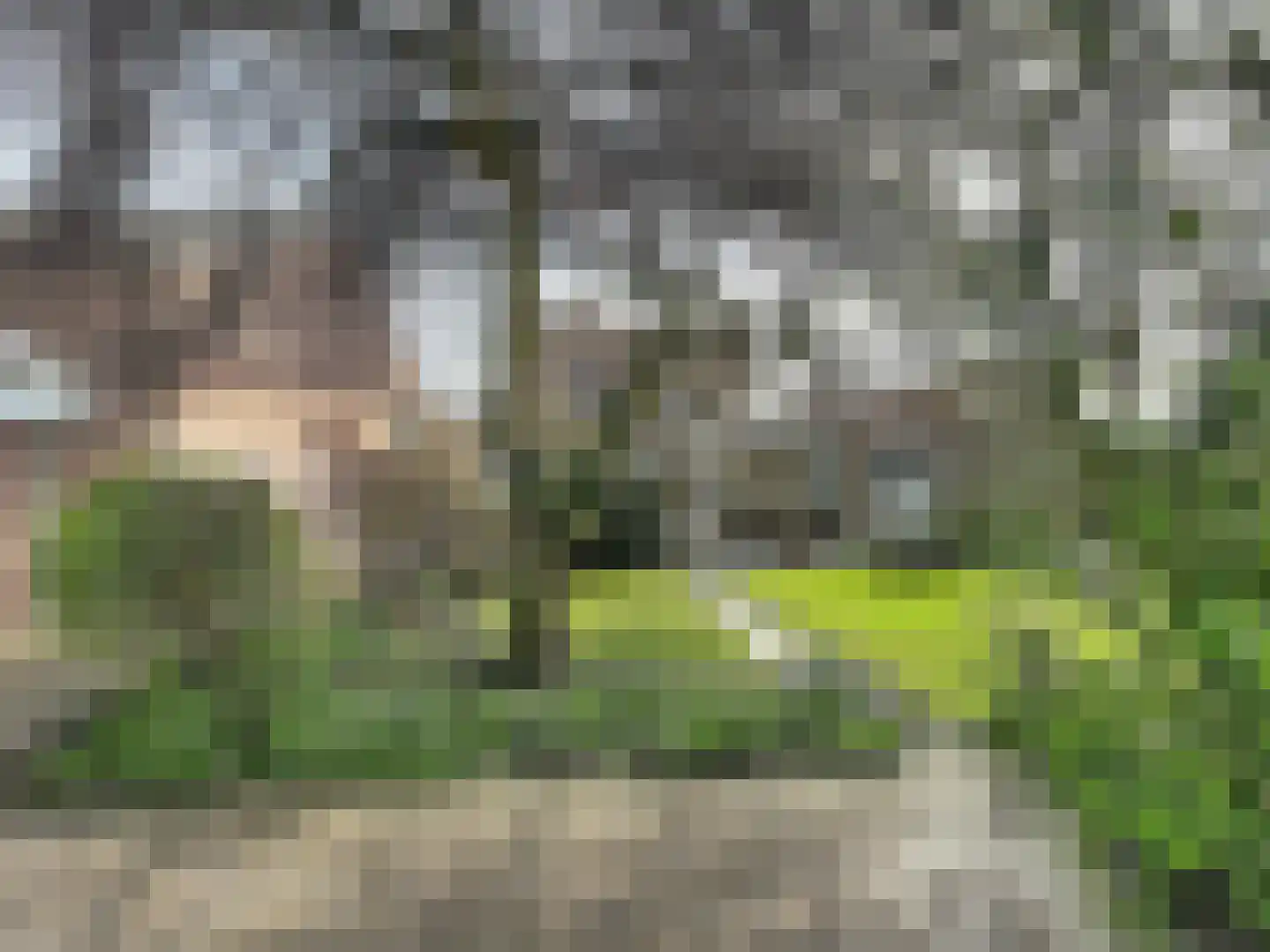 Nieuwstraat 16 Groede thumbnail 29