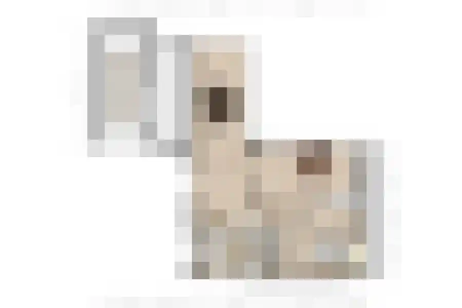 Nieuwstraat 16 Groede thumbnail 31