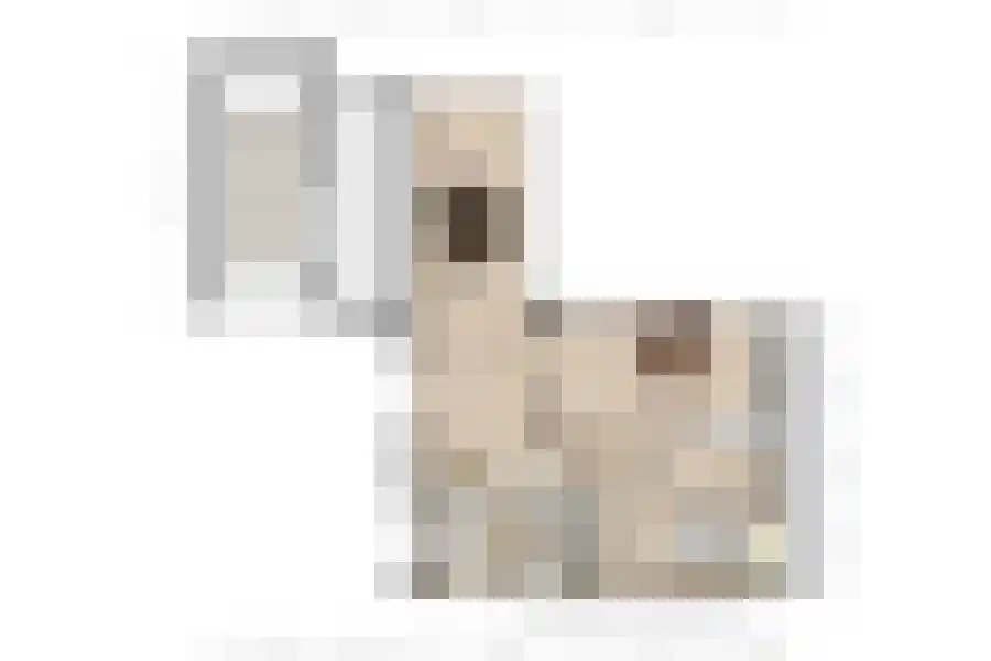 Nieuwstraat 16 Groede thumbnail 31