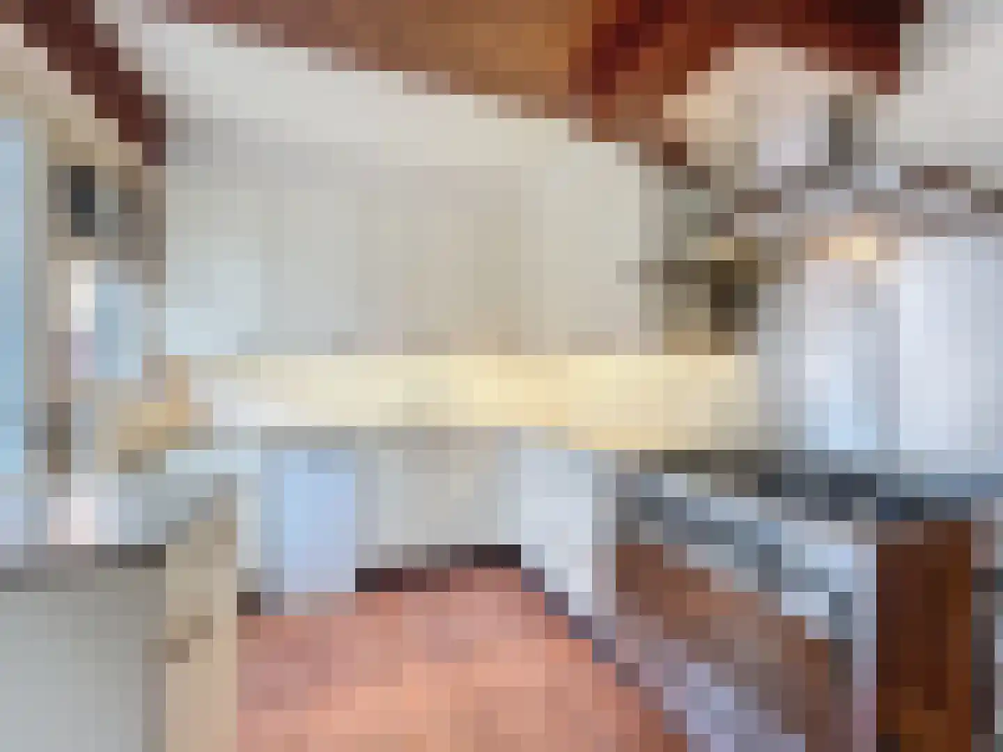 Nieuwstraat 16 Groede thumbnail 8