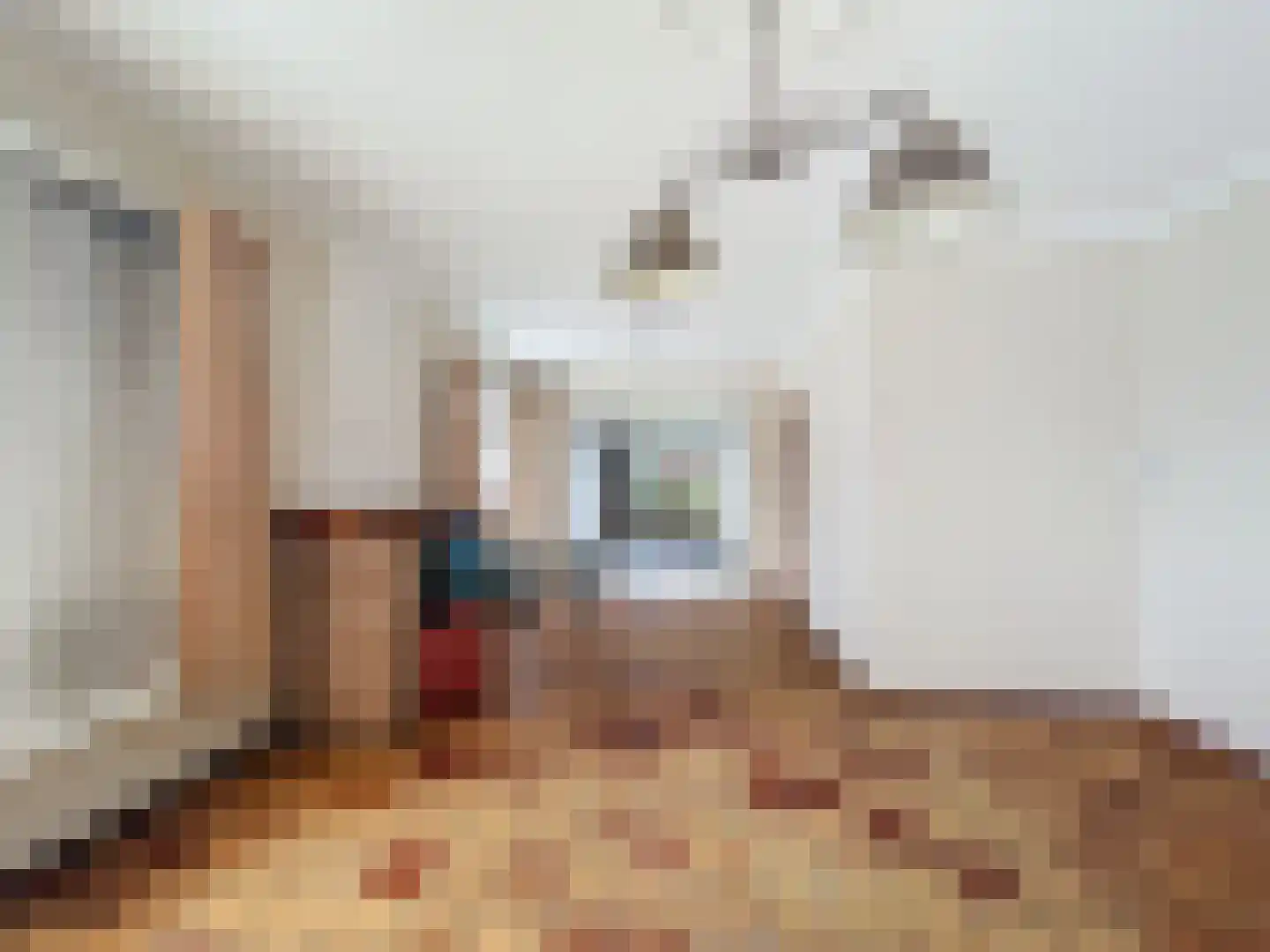 Nieuwstraat 16 Groede thumbnail 9