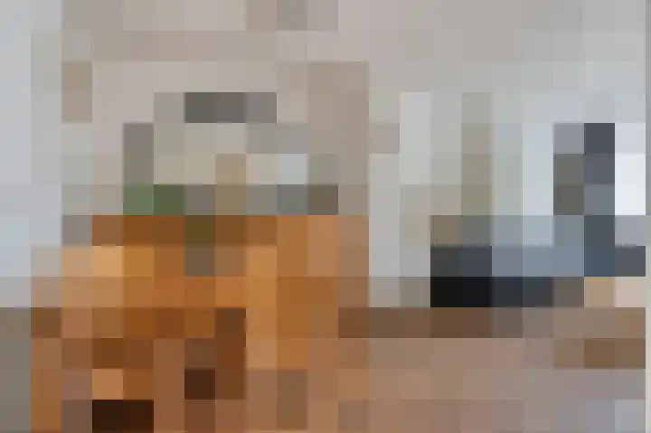 Nieuwstraat 16 Hansweert thumbnail 10