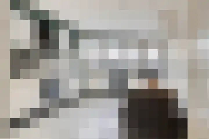 Nieuwstraat 16 Hansweert thumbnail 11