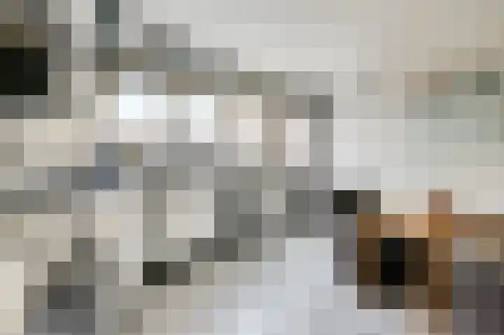 Nieuwstraat 16 Hansweert thumbnail 12