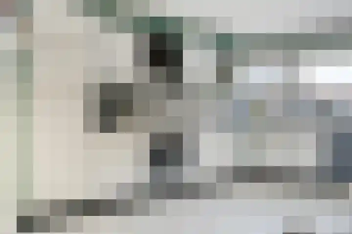 Nieuwstraat 16 Hansweert thumbnail 13