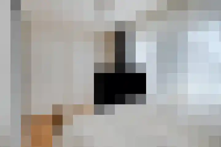 Nieuwstraat 16 Hansweert thumbnail 21