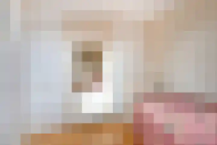Nieuwstraat 16 Hansweert thumbnail 25