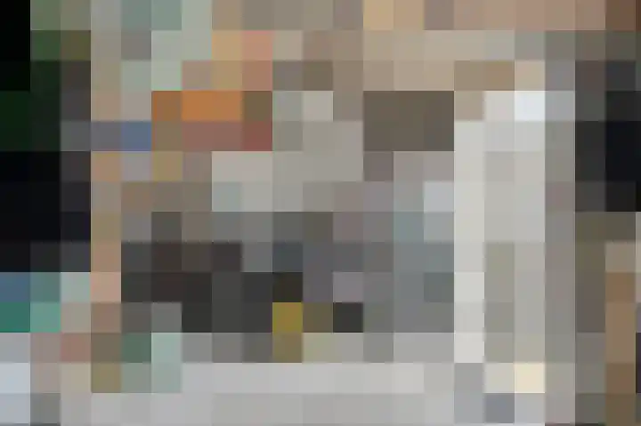 Nieuwstraat 16 Hansweert thumbnail 32