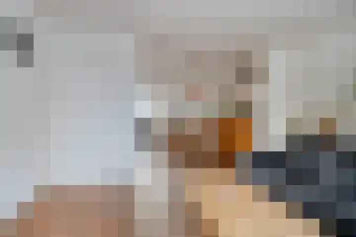 Nieuwstraat 16 Hansweert thumbnail 6