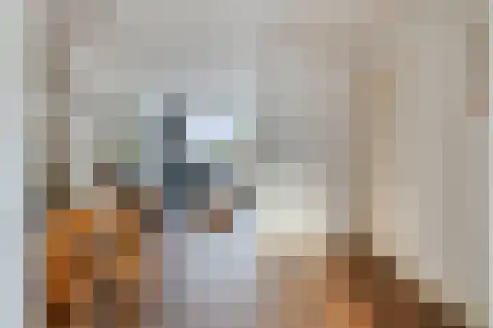Nieuwstraat 16 Hansweert thumbnail 9