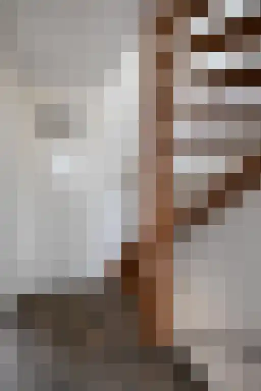 Nieuwstraat 16 Horst thumbnail 18