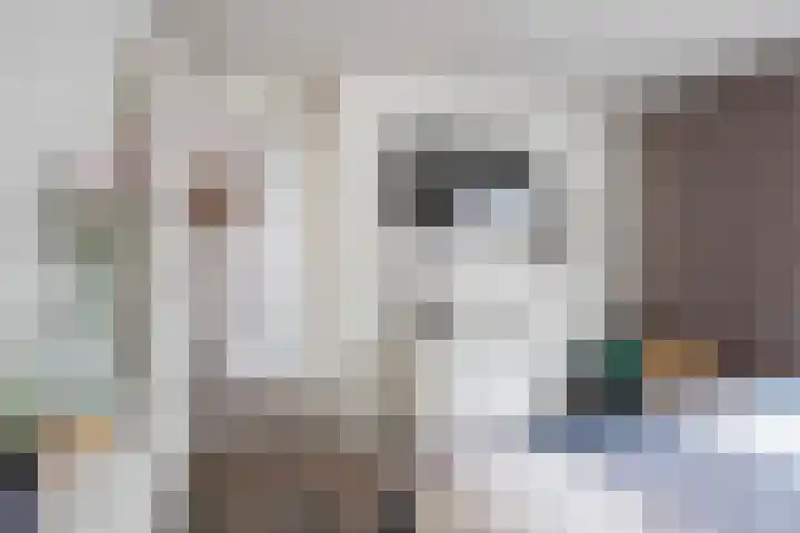 Nieuwstraat 16 Horst thumbnail 23