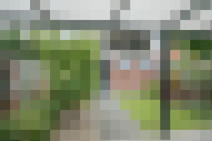 Nieuwstraat 16 Horst thumbnail 30