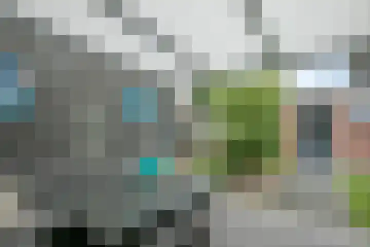 Nieuwstraat 16 Horst thumbnail 6