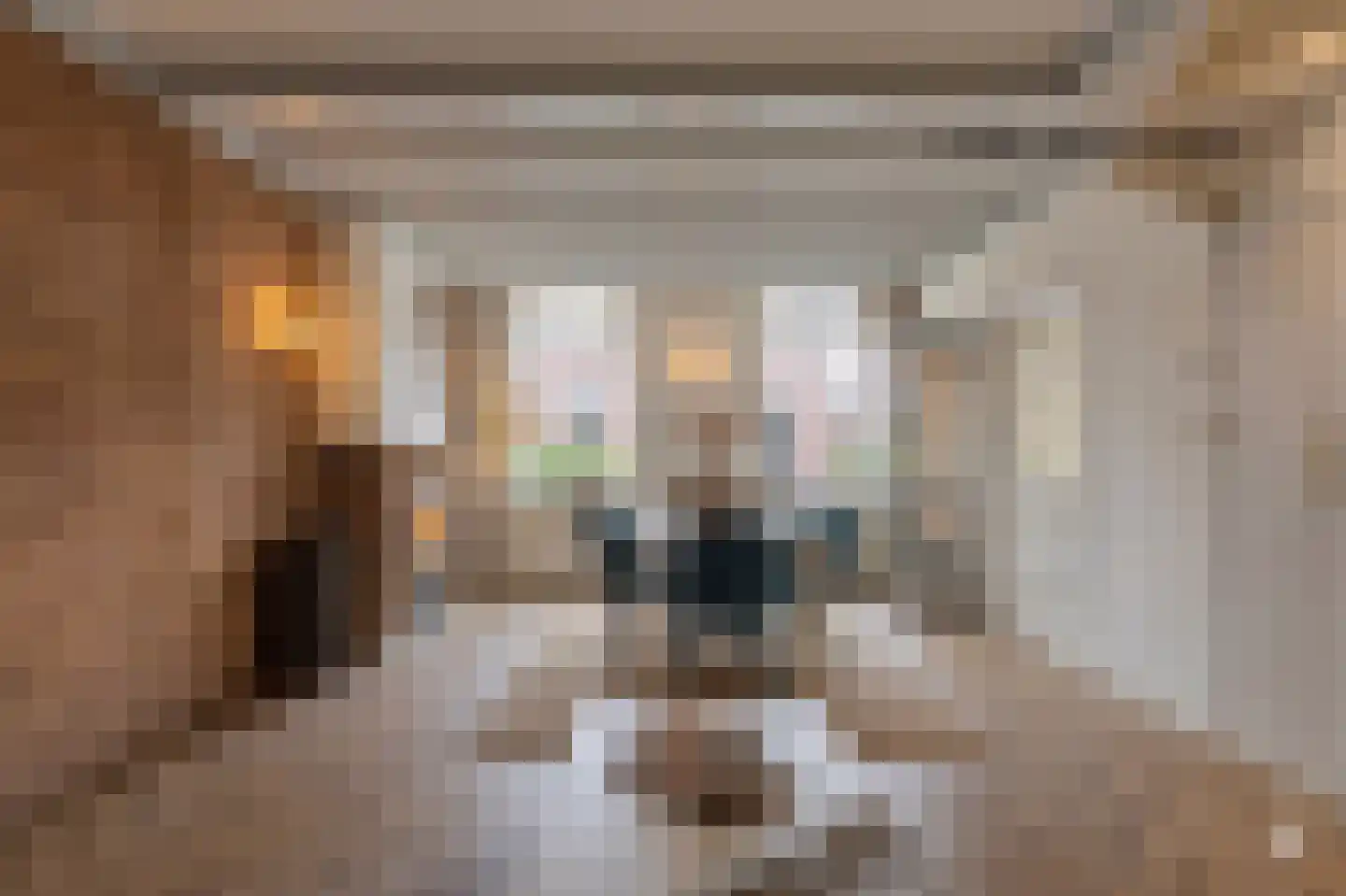Nieuwstraat 16 IJzendijke thumbnail 10