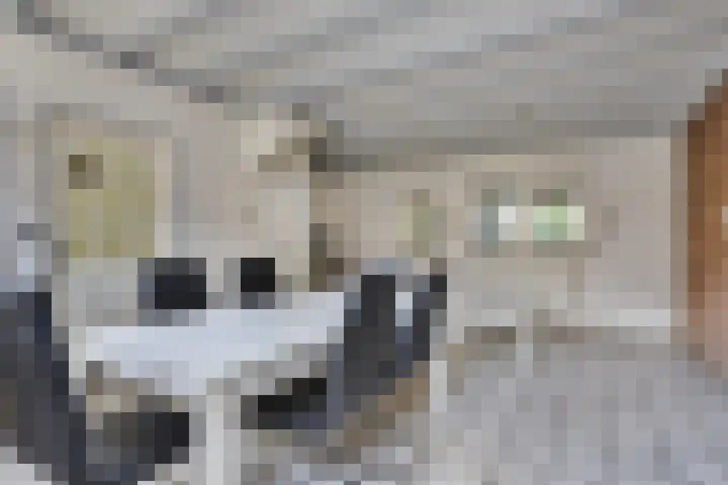 Nieuwstraat 16 IJzendijke thumbnail 11