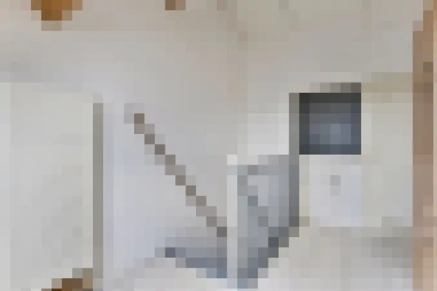Nieuwstraat 16 IJzendijke thumbnail 23