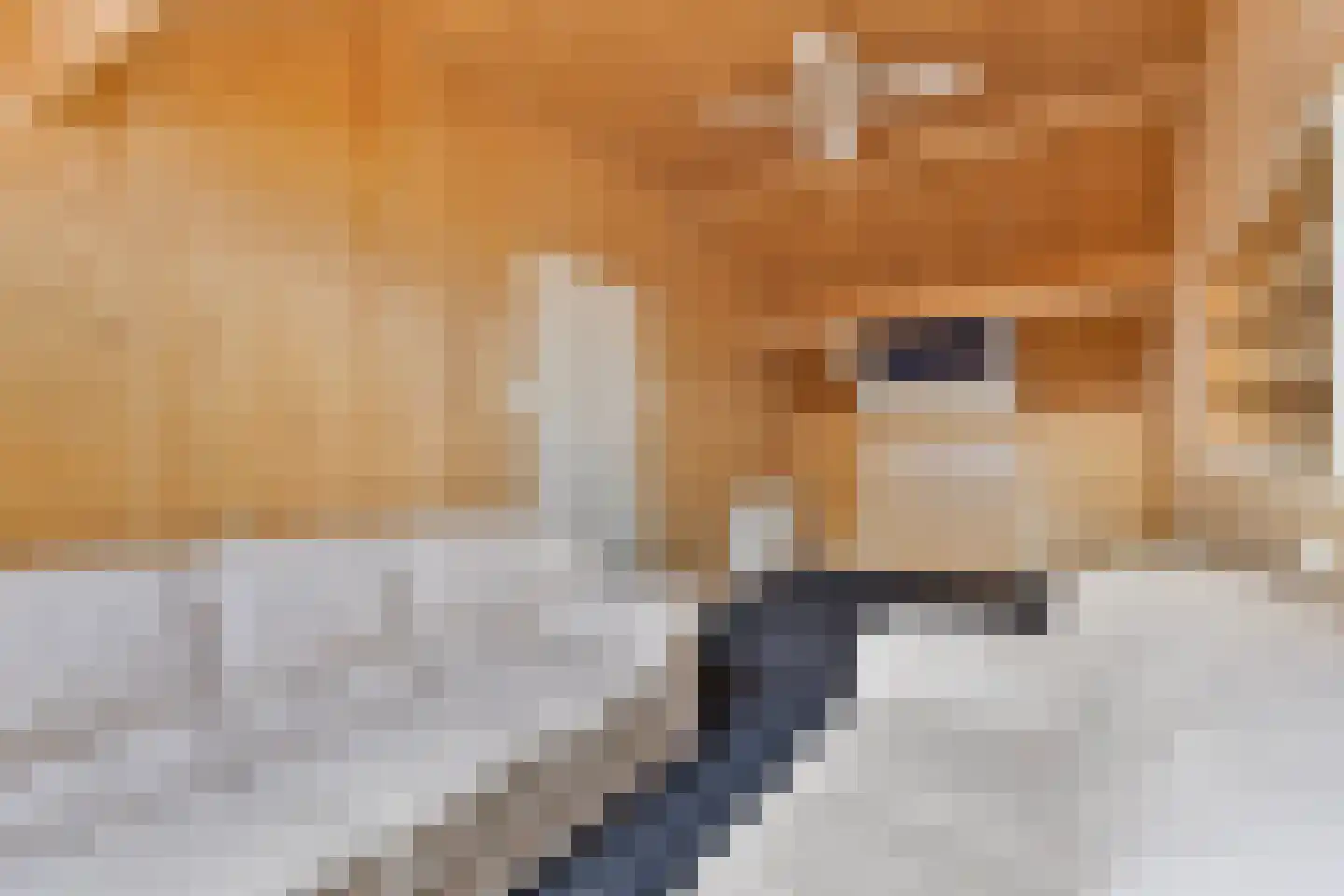 Nieuwstraat 16 IJzendijke thumbnail 26