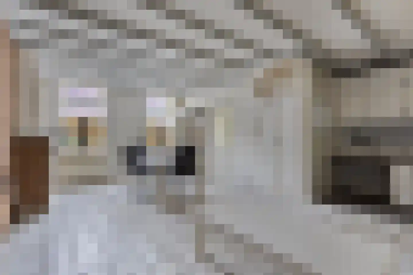 Nieuwstraat 16 IJzendijke thumbnail 7