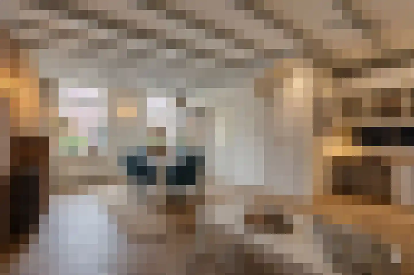 Nieuwstraat 16 IJzendijke thumbnail 8