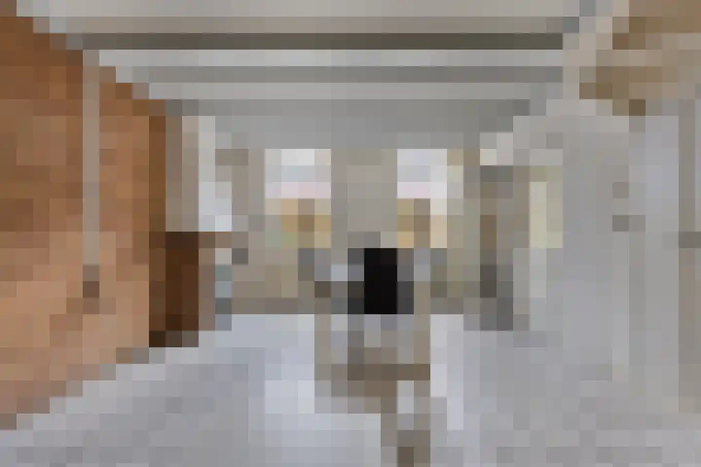 Nieuwstraat 16 IJzendijke thumbnail 9