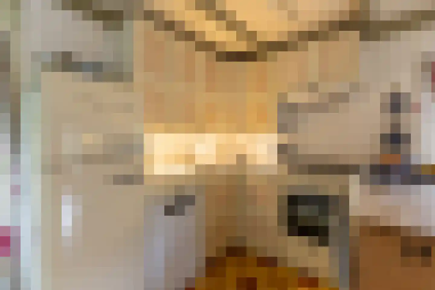 Nieuwstraat 16 Soest thumbnail 21