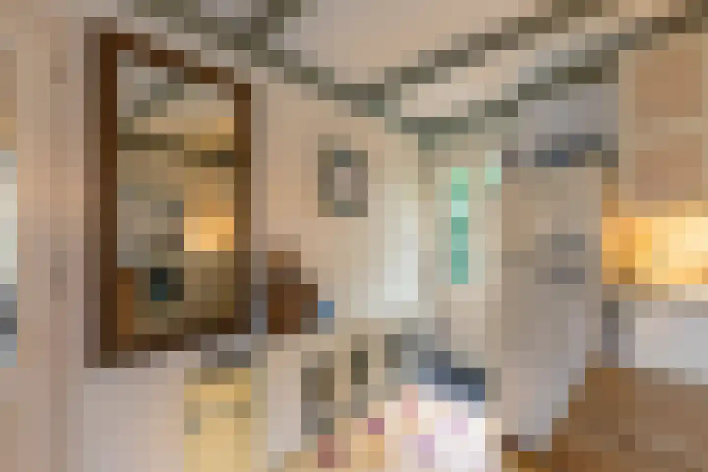 Nieuwstraat 16 Soest thumbnail 23