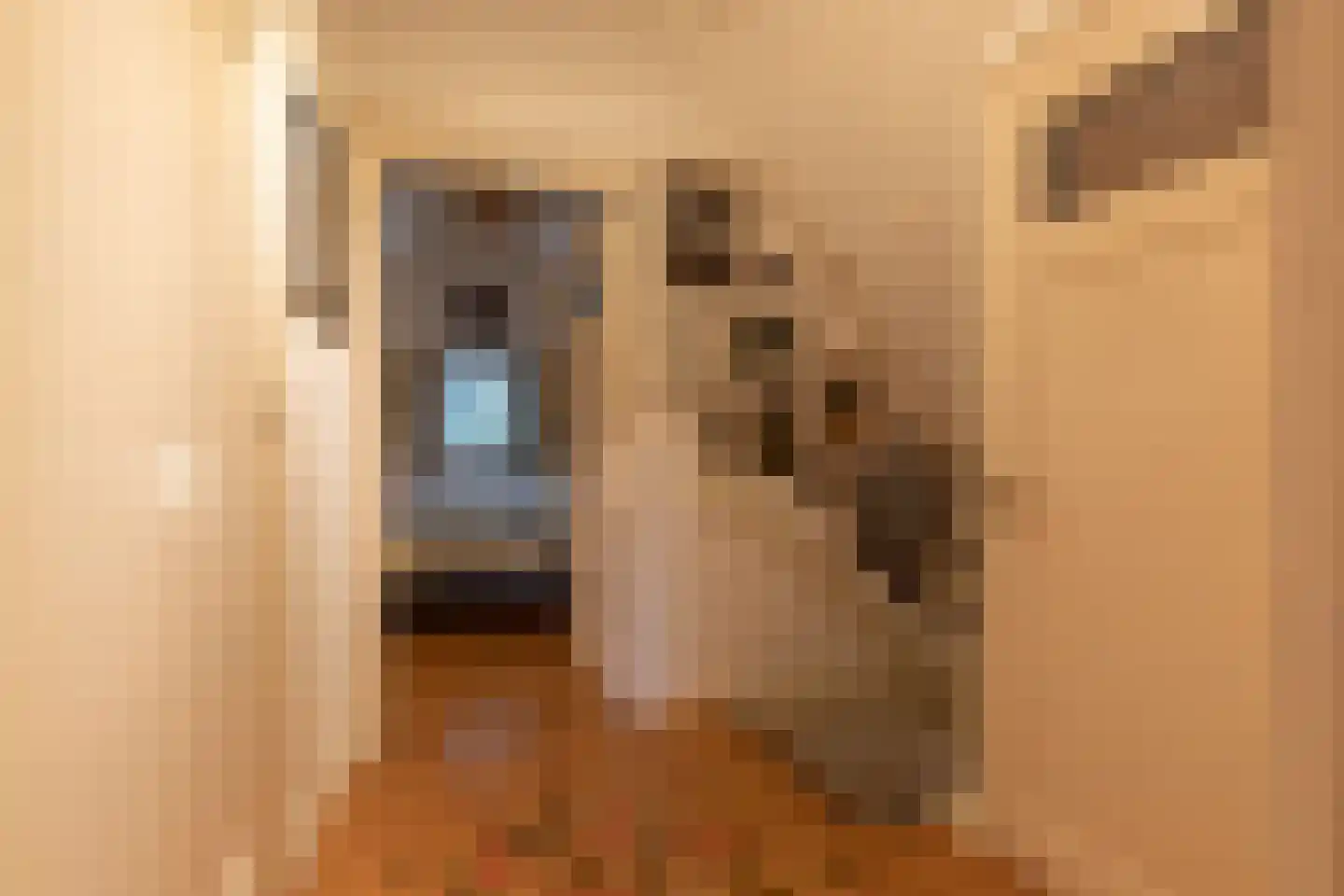 Nieuwstraat 16 Soest thumbnail 25