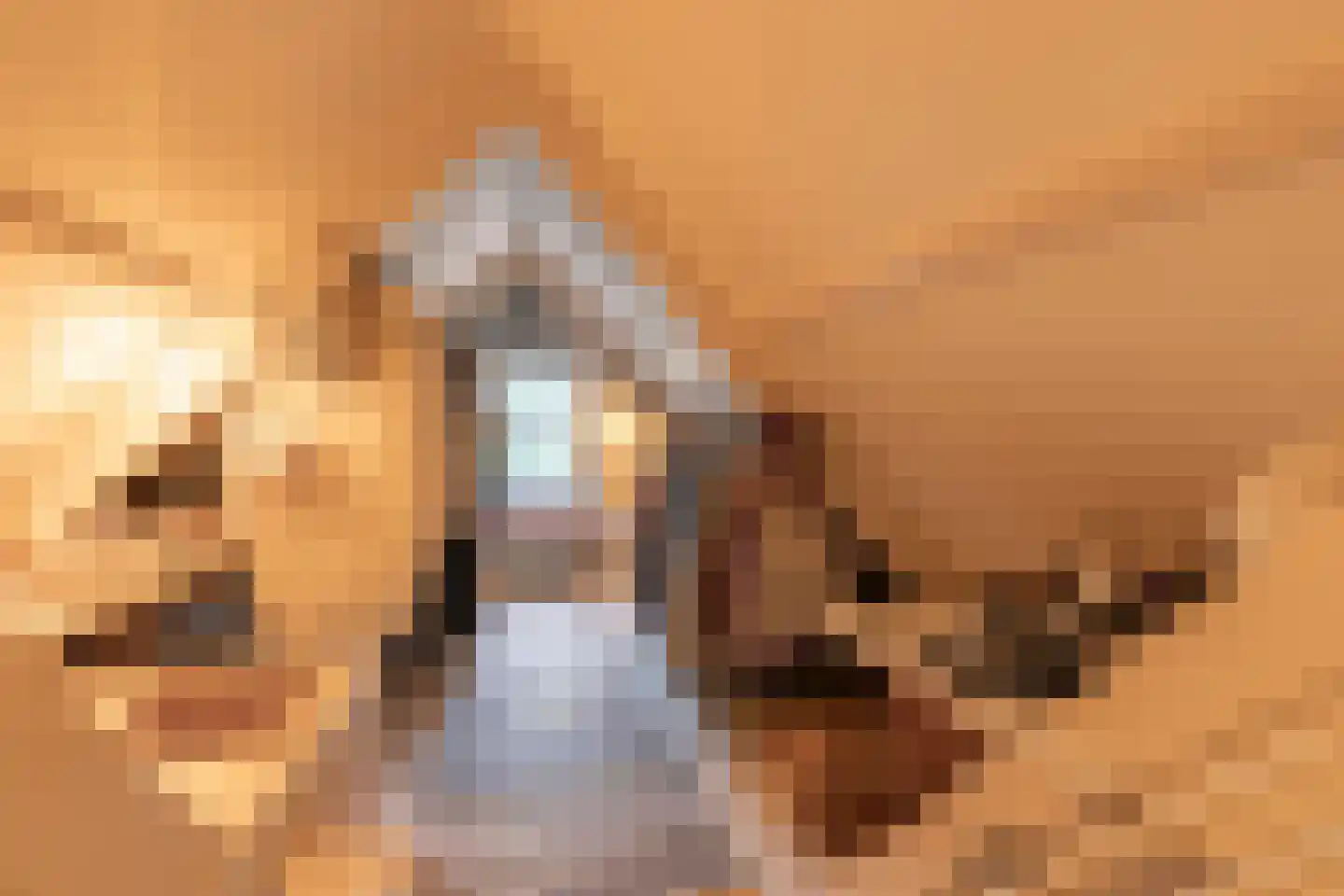 Nieuwstraat 16 Soest thumbnail 30