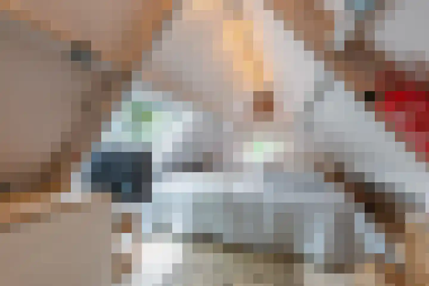 Nieuwstraat 16 Soest thumbnail 41