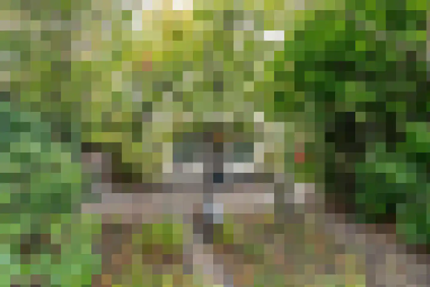Nieuwstraat 16 Soest thumbnail 44