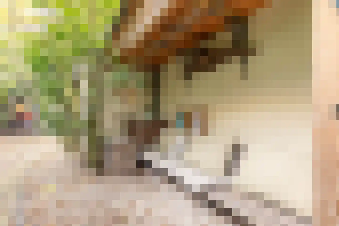Nieuwstraat 16 Soest thumbnail 45