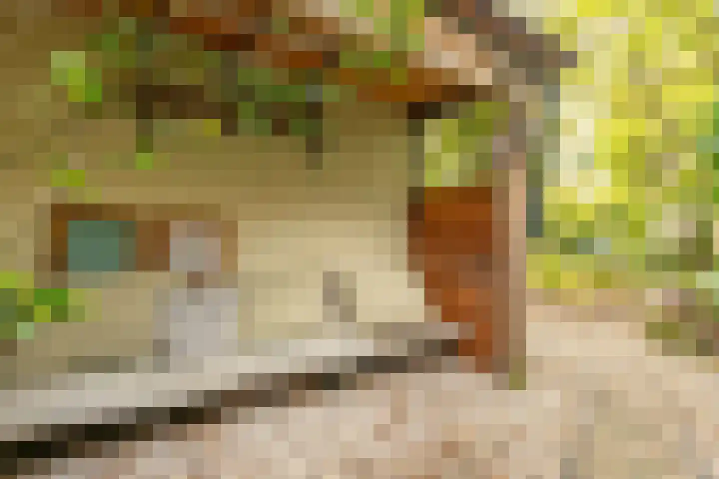 Nieuwstraat 16 Soest thumbnail 46
