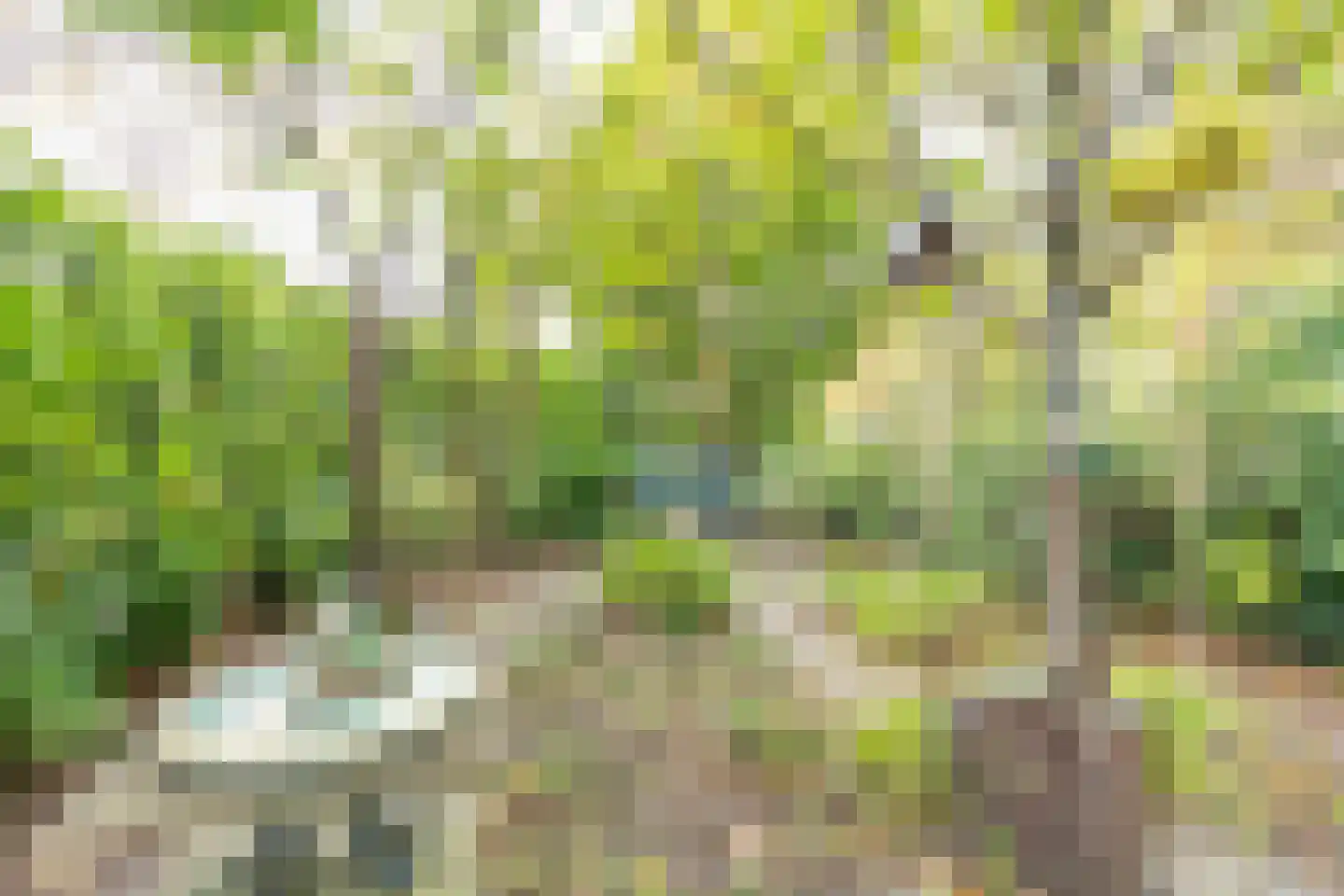 Nieuwstraat 16 Soest thumbnail 47